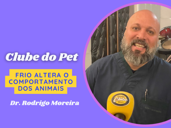 Banner fotos - Site