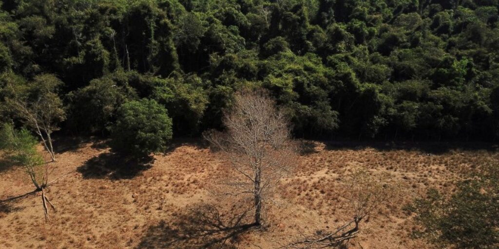 2023-01-04t011928z_1_lynxmpej0300u_rtroptp_3_brazil-environment.jpg
