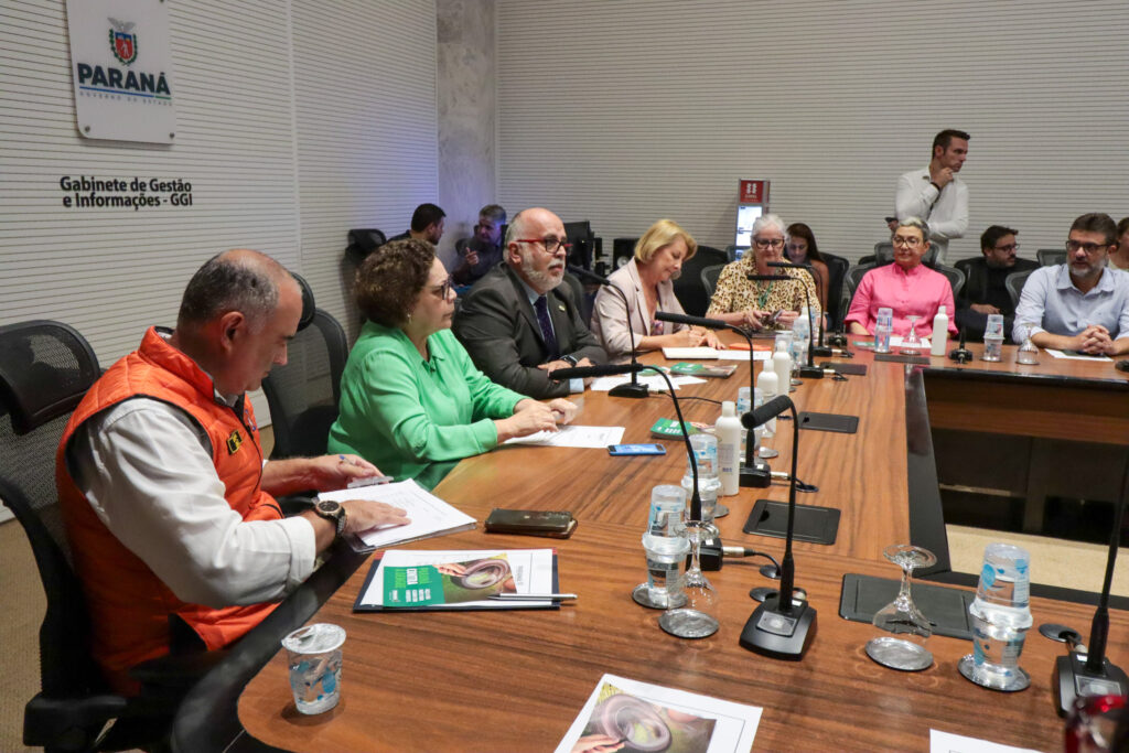 Reuniao Dengue