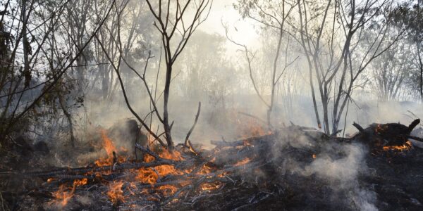 930015-incendio_queimada_5.jpg