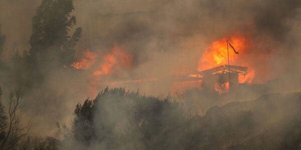 2024-02-04t000324z_320420104_rc24v5afg8a4_rtrmadp_3_chile-wildfires.jpg