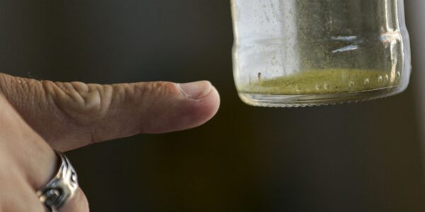 combate-dengue_mcamgo_abr_29022024-11.jpg