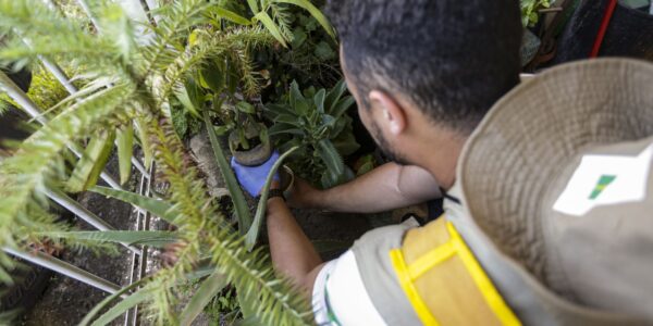 combate-dengue_mcamgo_abr_29022024-13.jpg