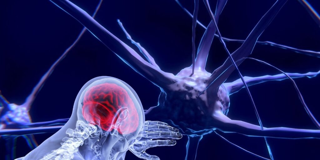 neurons-3743011_1920.jpg