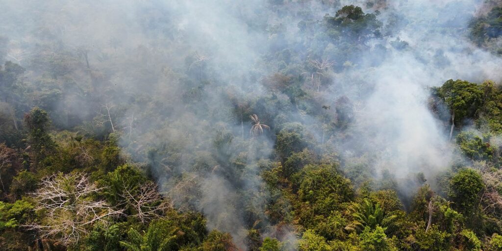 2024-03-01t131838z_944586073_rc20d6aq22m1_rtrmadp_3_brazil-fires.jpg