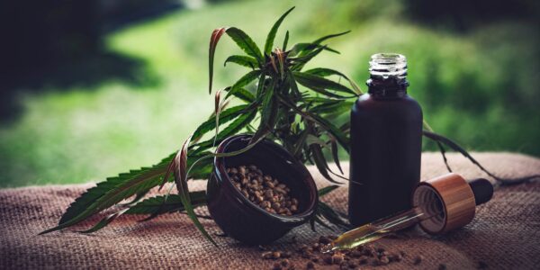 cbd-ol-4470099.jpg