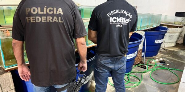 operacao_pf_animais_marinhos_venda_ilegal_2_040424.jpg