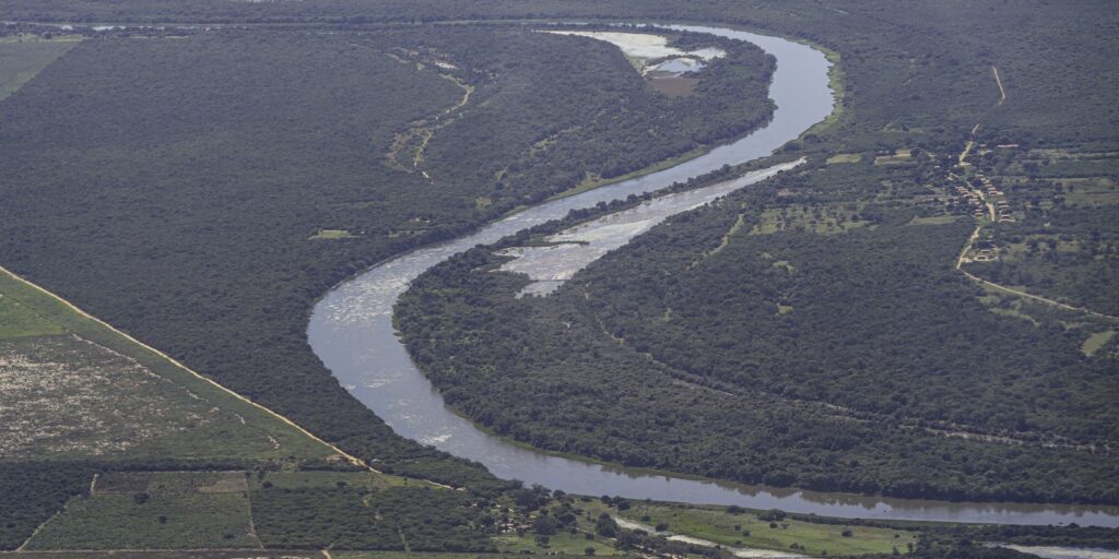 20240501_barra_bahia_brasil_sos_mata_atlantica_thomas_bauer-18.jpg