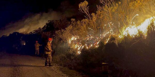 incendio_parque_itatiaia_160624.jpg