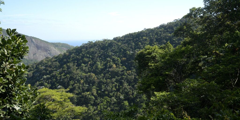 dsc4893_0.jpg