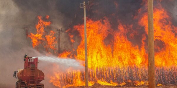 2024-08-24t204004z_122296958_rc2cm9a6n3n2_rtrmadp_3_brazil-fires.jpg