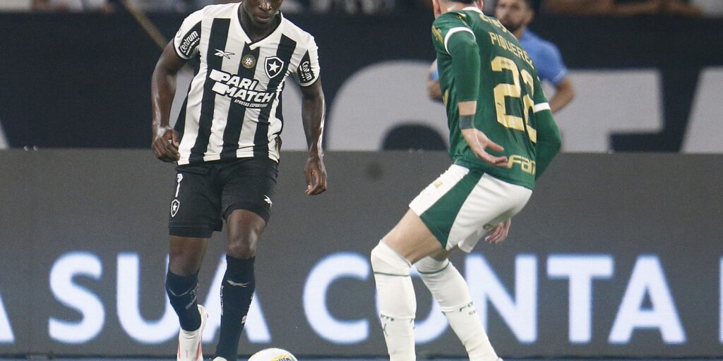 botafogo_x_palmeiras_17_07_brasileiro_2024.jpg