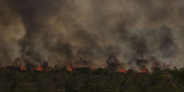 incendio-parque-nacionall_mcamgo_abr_16092024-3.jpg