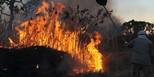 incendios_florestais.jpg