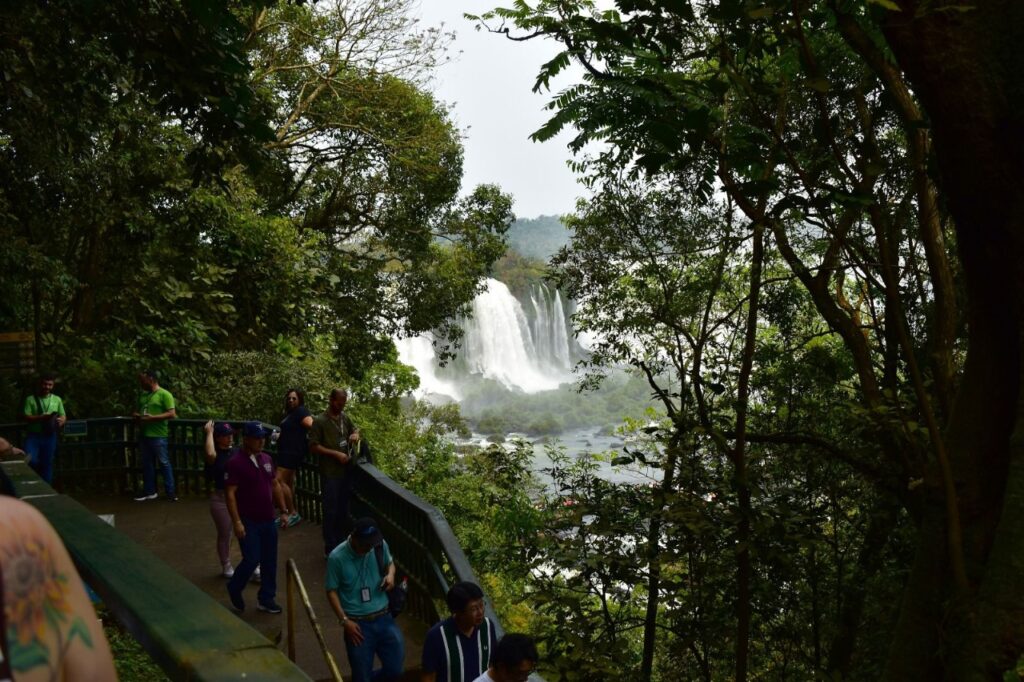 Cataratas - Capa