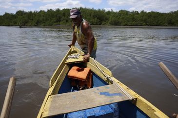 Magé (RJ), 15/10/2024 - Nilo Ferreira Filho, 72 anos, é pescador artesanal no manguezal na Piedade banhado pelo Rio Majé, que desagua na Baía de Guanabara. Foto: Fernando Frazão/Agência Brasil