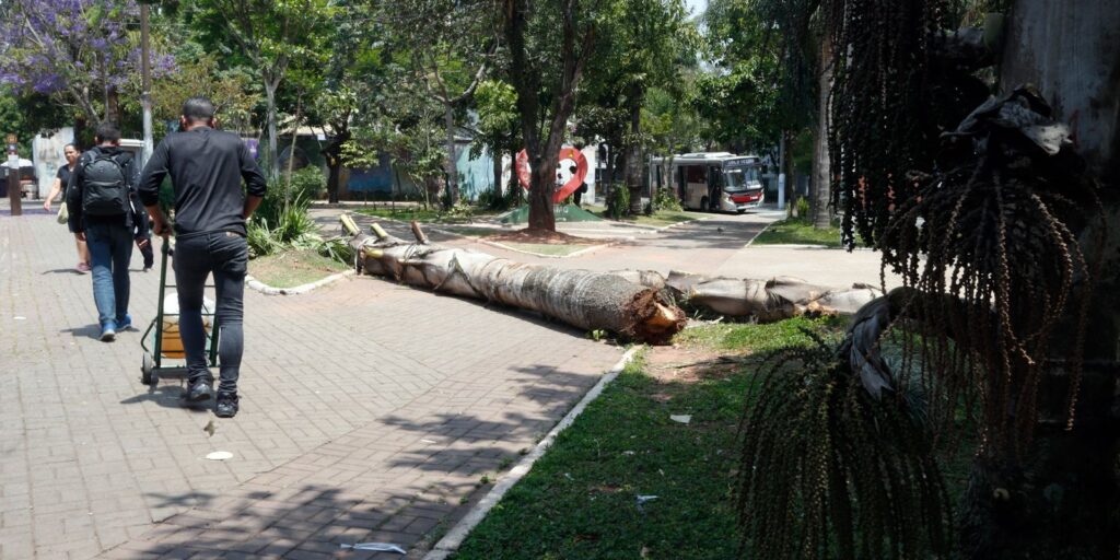 falta_luz_sp_7.jpg