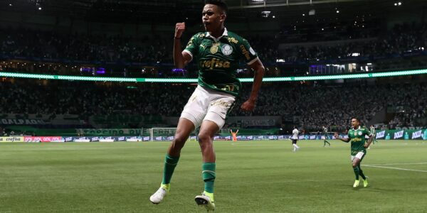 estevao_palmeiras_2024.jpg