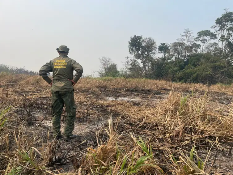 Amazônia-11/12/2024 Amazônia tem o maior número de queimadas e incêndios em 17 anos.  Foto:  Agência Santarém.