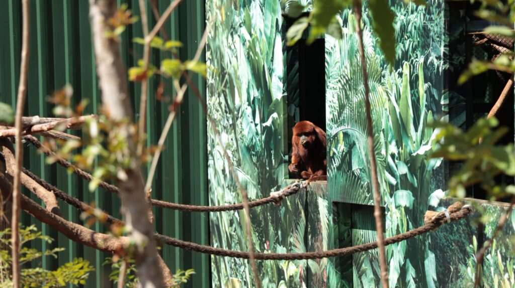 foz eco park (1)