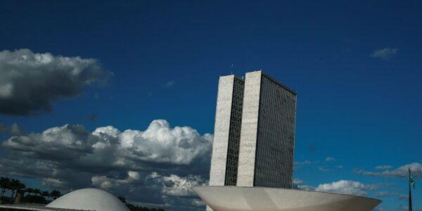 monumentos_brasilia_cupula_plenario_da_camara_dos_deputados3103201338.jpg