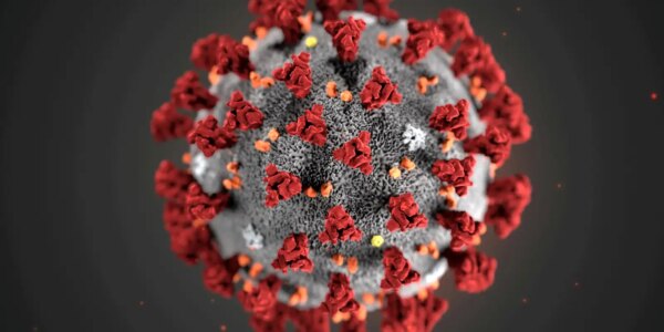 2021-02-19t194154z_1_lynxmpeh1i1cj_rtroptp_4_health-coronavirus-africa-variant.jpg