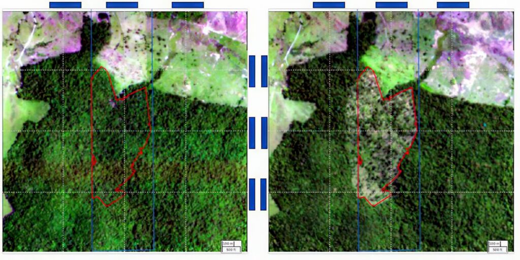 mapbiomas-reproducao_0.jpeg