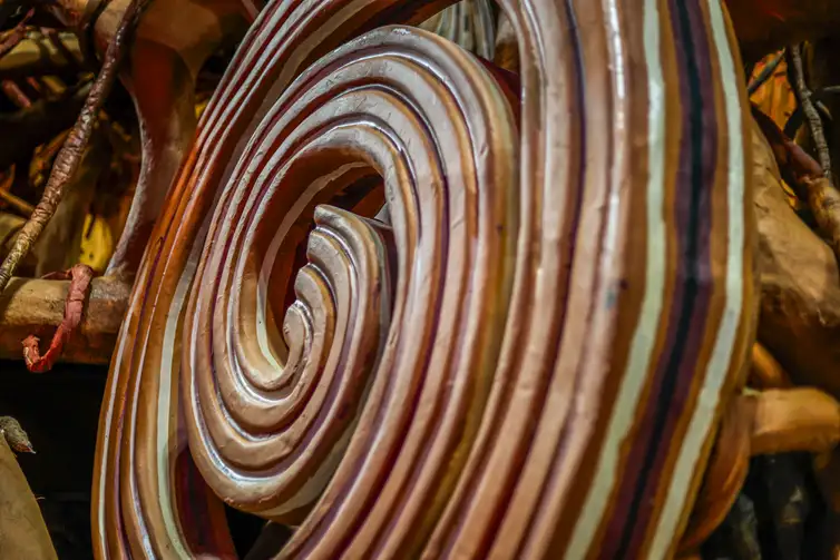 Brasília (DF) 24/02/2025 - Detalhe do carro alegórico, escola Grande Rio.
Foto: Rafael Arantes/Divulgação