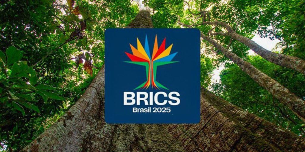 1744204829_identidade_visual_do_brics_brasil.jpg