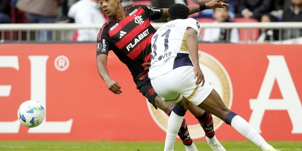 2025-04-22t222654z_530658525_up1el4m1qct5w_rtrmadp_3_soccer-libertadores-ldu-fla-report.jpg