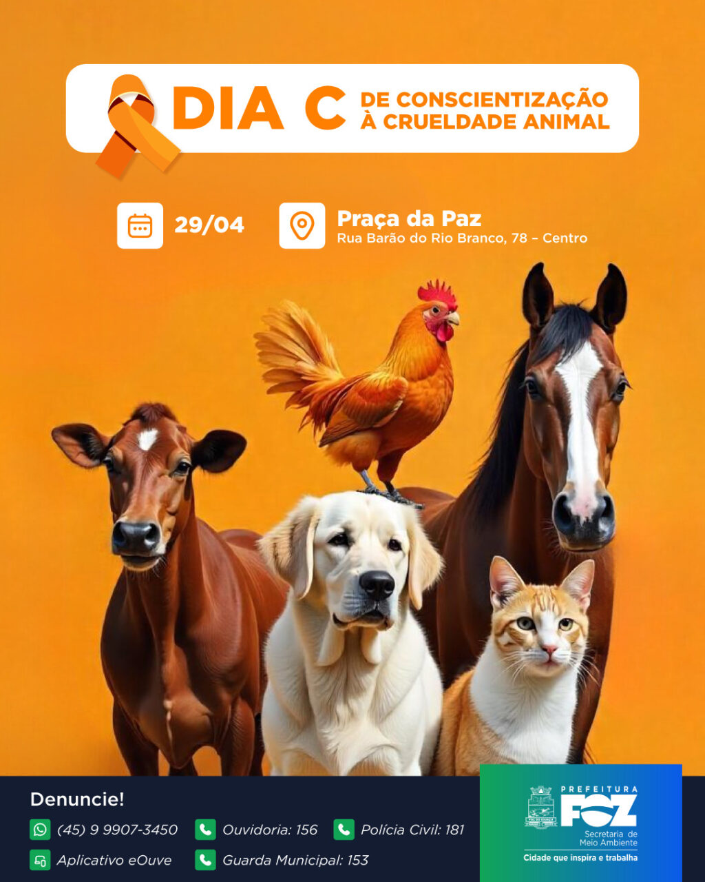 DIA C
