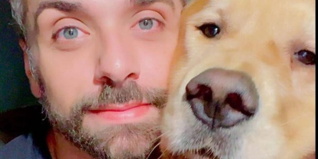 cachorro_morre_apos_ser_transportado_pela_gol3.jpg