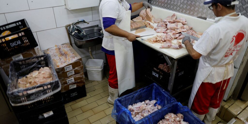 2025-05-20t162219z_613522924_rc2oleasl1zu_rtrmadp_3_health-bird-flu-brazil_0.jpg