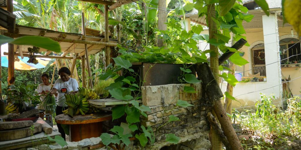 dsc7807_0.jpg