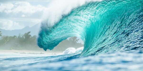 wave_pipe22_tyh8464_heff.jpg