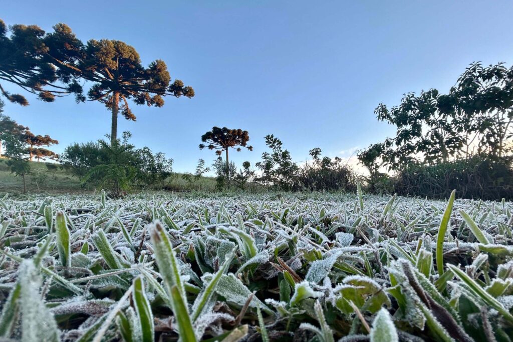 Frio no Paraná