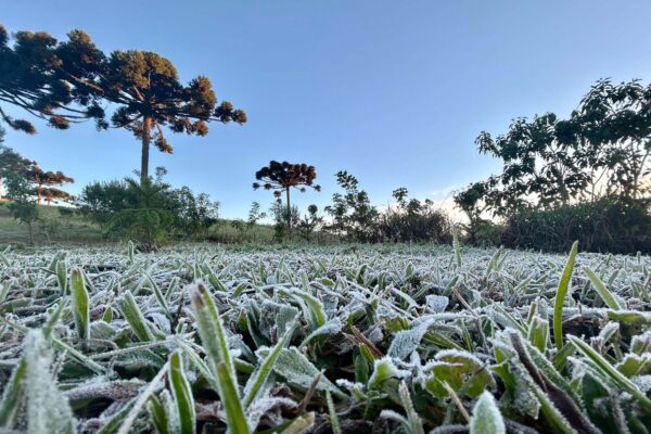 Frio no Paraná