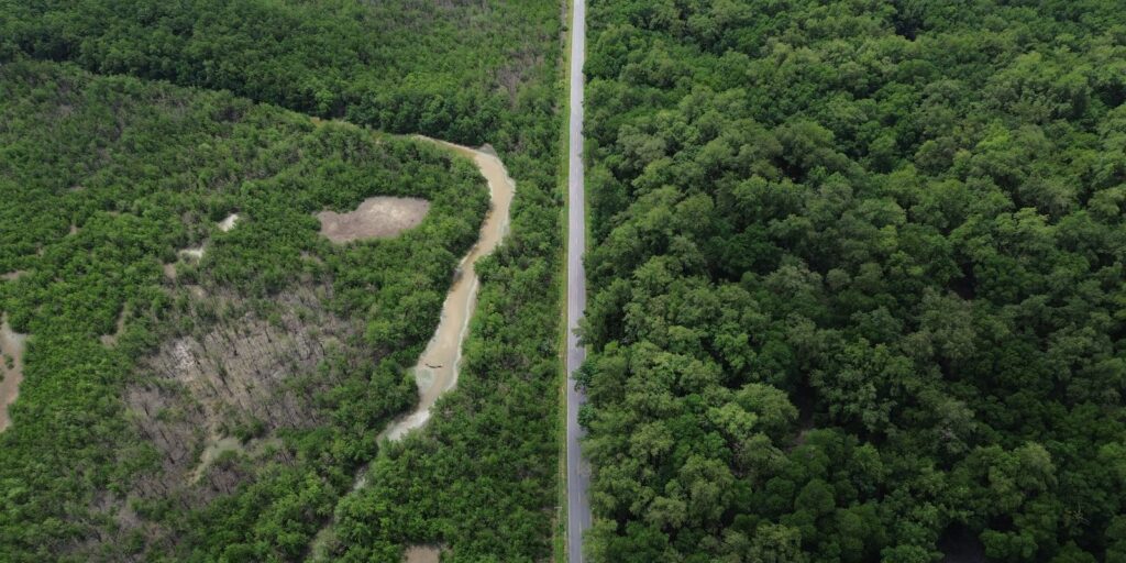 dji_0115.jpg