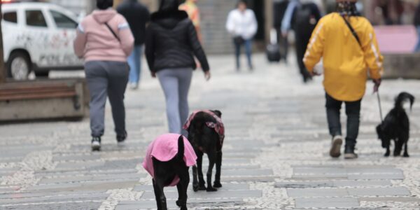 frio_sp01.jpg