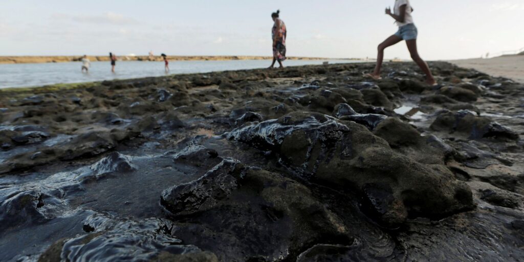 2019-10-08t224319z_95601330_rc1101698dc0_rtrmadp_3_brazil-environment-oil-bolsonaro.jpg