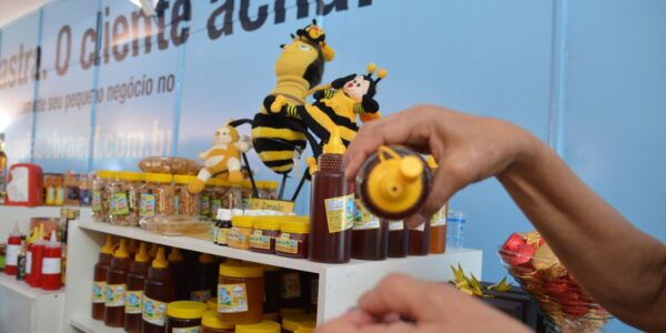 978545-03102015-sebraefeira20no20parquedsc_6906.jpg