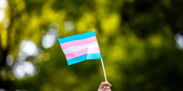 bandeira_trans.jpg
