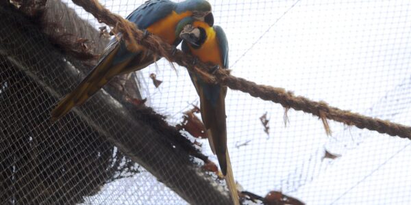 parque_9_foto_beth_santos.jpg