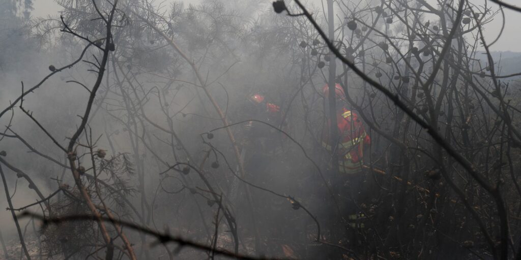 2019-07-21t134323z_1898307389_rc1d606eb770_rtrmadp_3_portugal-wildfires.jpg