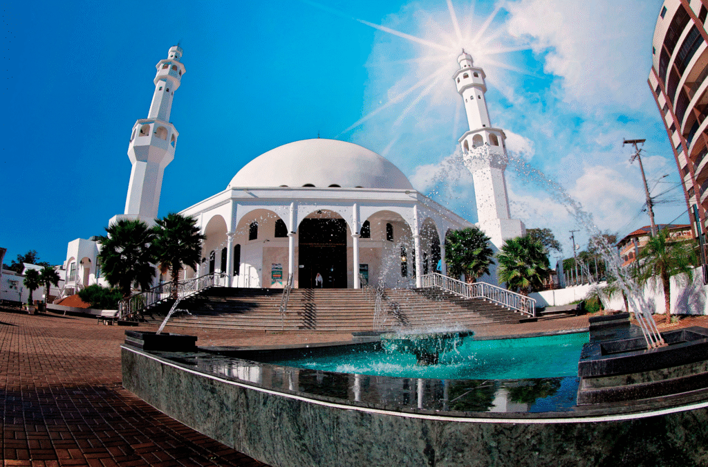 Arquivo Mesquita-RIZZI