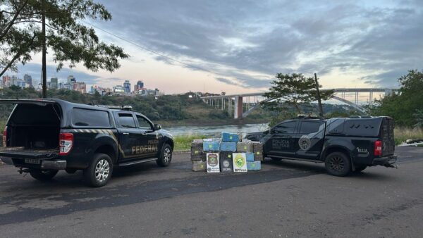 Ação Integrada
