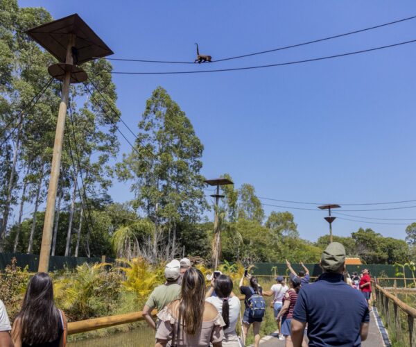 Eco Park Foz
