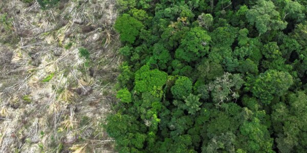 1757933696_amazonia_desmatamento_1.jpg