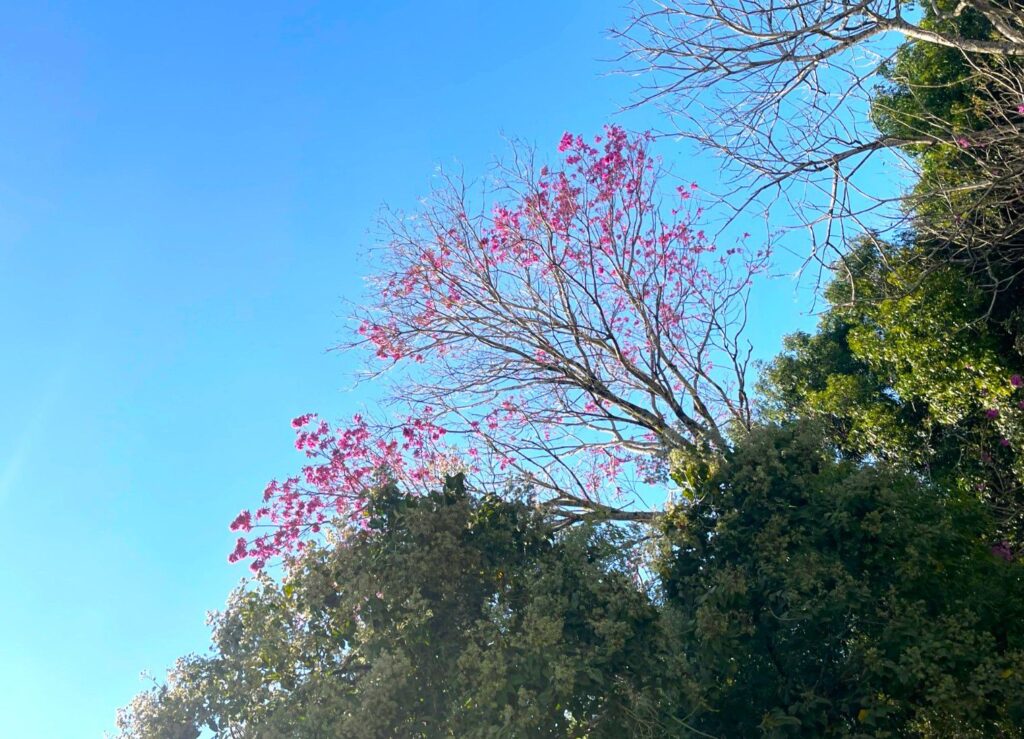 Parque Nacional