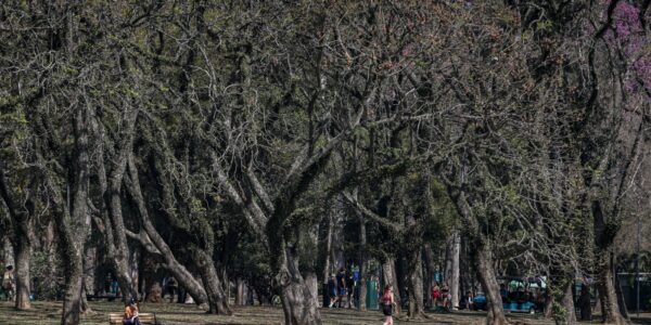 calor_ibirapuera_13_0.jpg